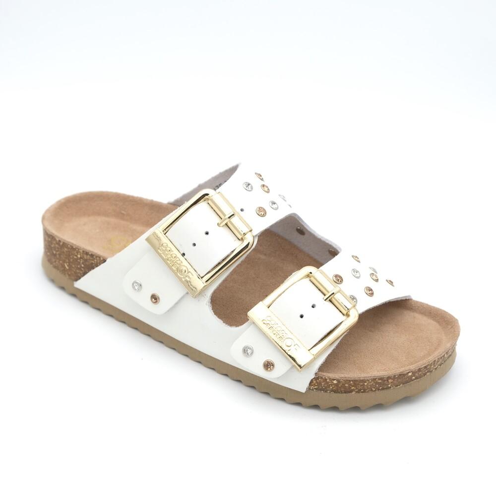 01787_8|381b271034f190940779b61b4ebcc099